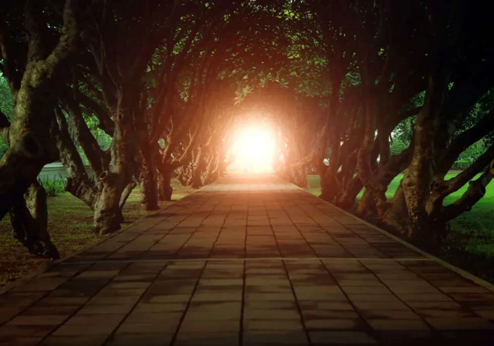 A path with trees and light coming from the center.